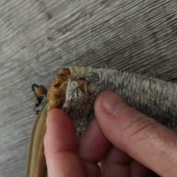 Small Myra Bag Wristlet - Picture 2 of 10